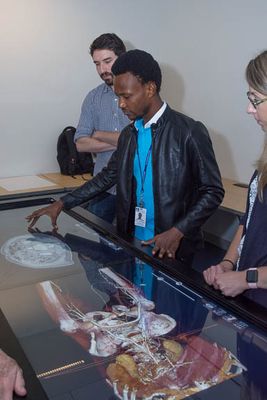 International Student works with Anatomage Table