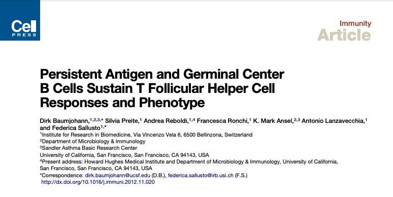 Persistent Antigen and Germinal Center B Cells Sustain T Follicular Helper Cell Responses and Phenotype