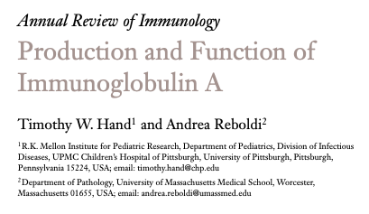 Production and Function of Immunoglobulin A