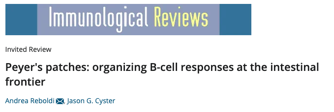 Peyer's patches: organizing B-cell responses at the intestinal frontier