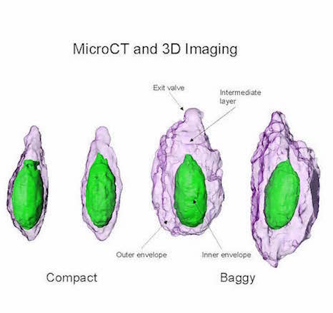 outer_inner2.jpg