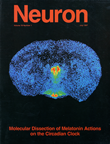 Neuron 1997 Cover