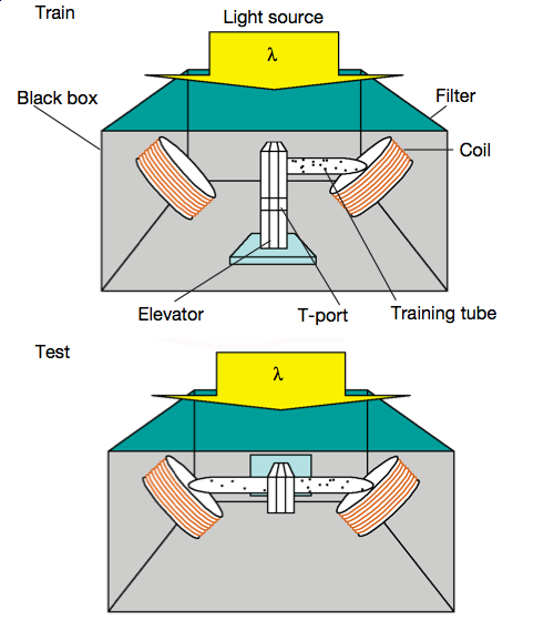 magneto-setup.png