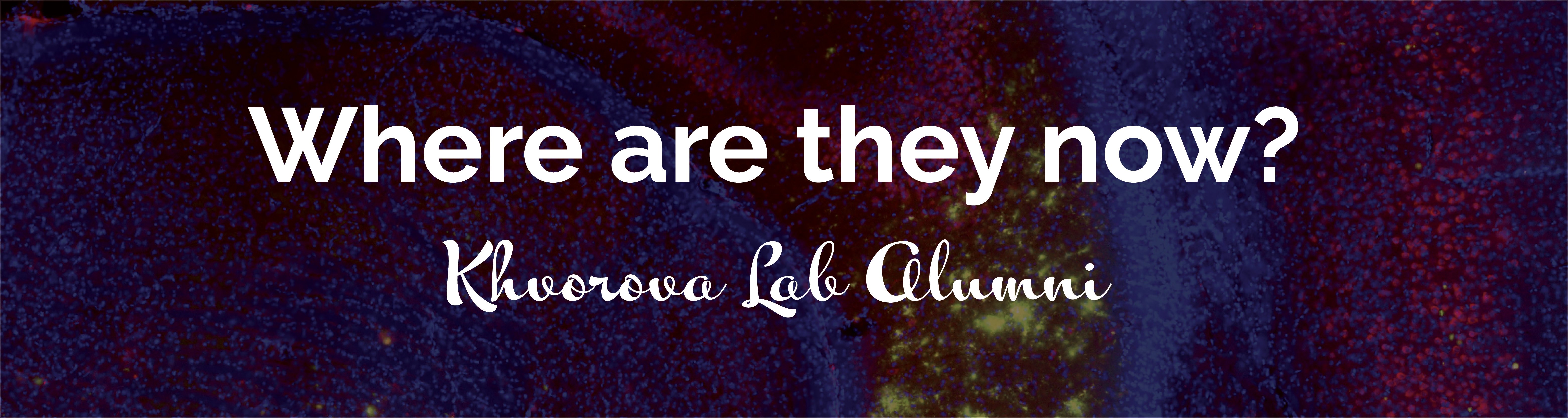 1500x400 Khvorova Banner2.jpg