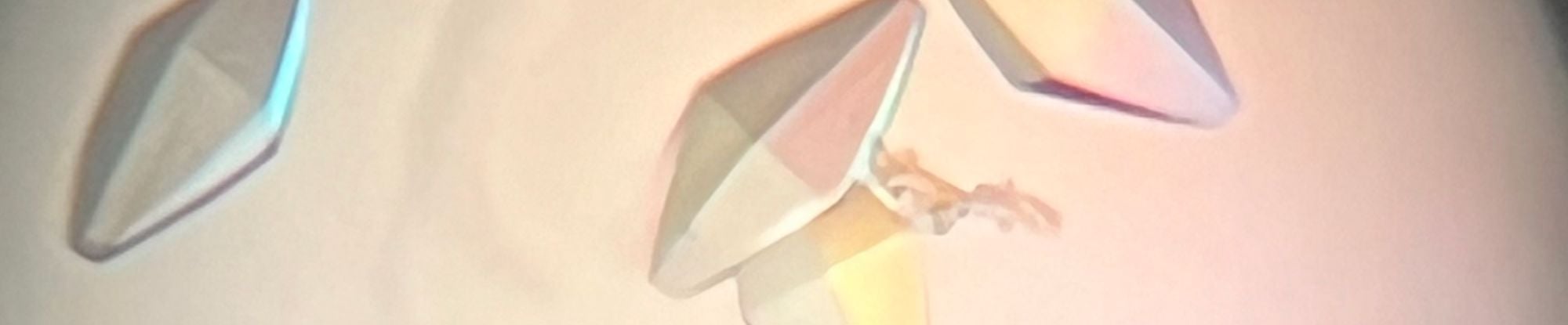 royer_home hero slider.png