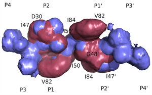 Combating susceptibility to drug resistance: lessons from HIV-1 protease.