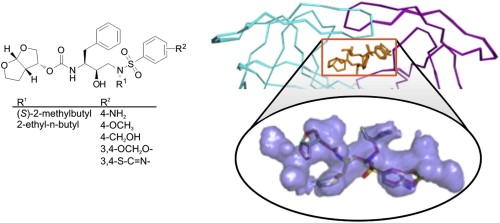 Substrate envelope-designed potent HIV-1 protease inhibitors to avoid drug resistance