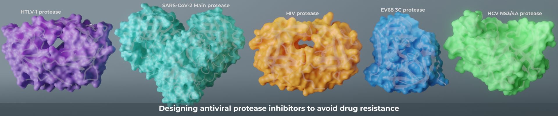 Antiviral protease.png