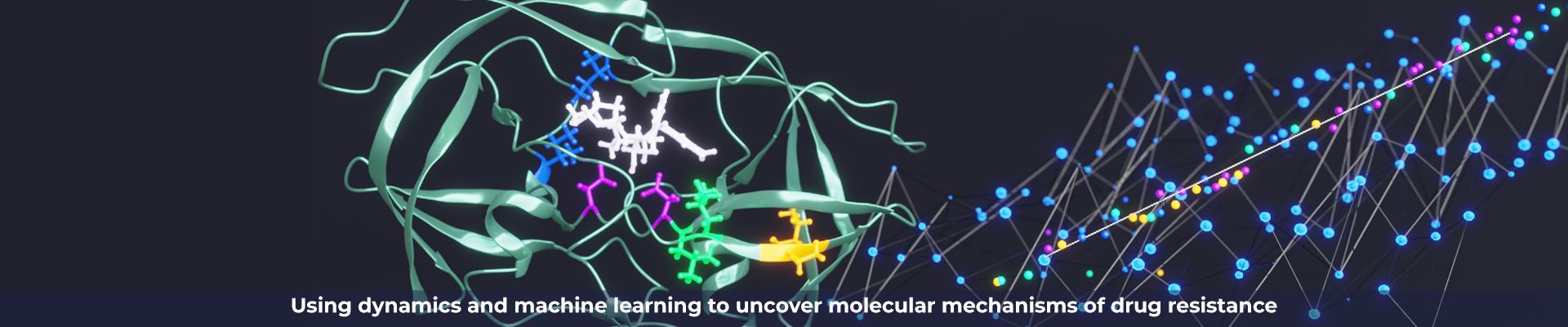molecular mechanisms.png