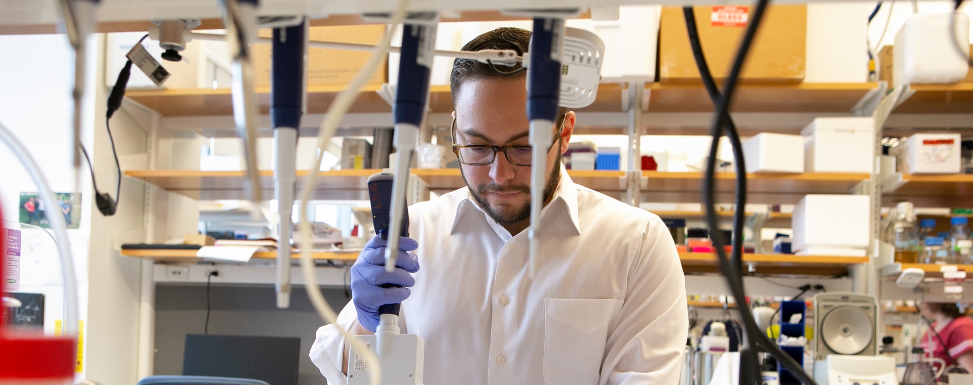 MSTP resized cropped.jpg