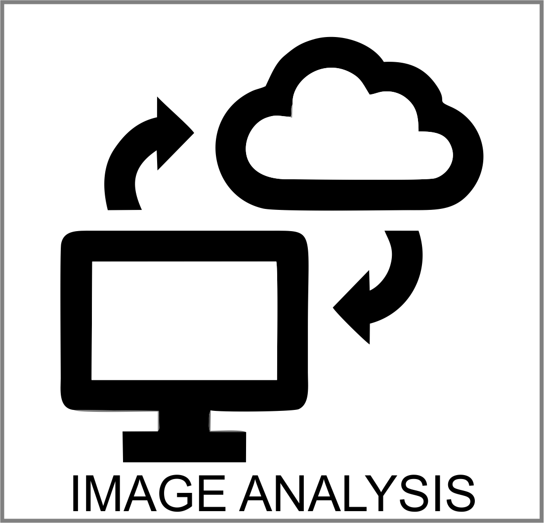 Image Analysis Page Button