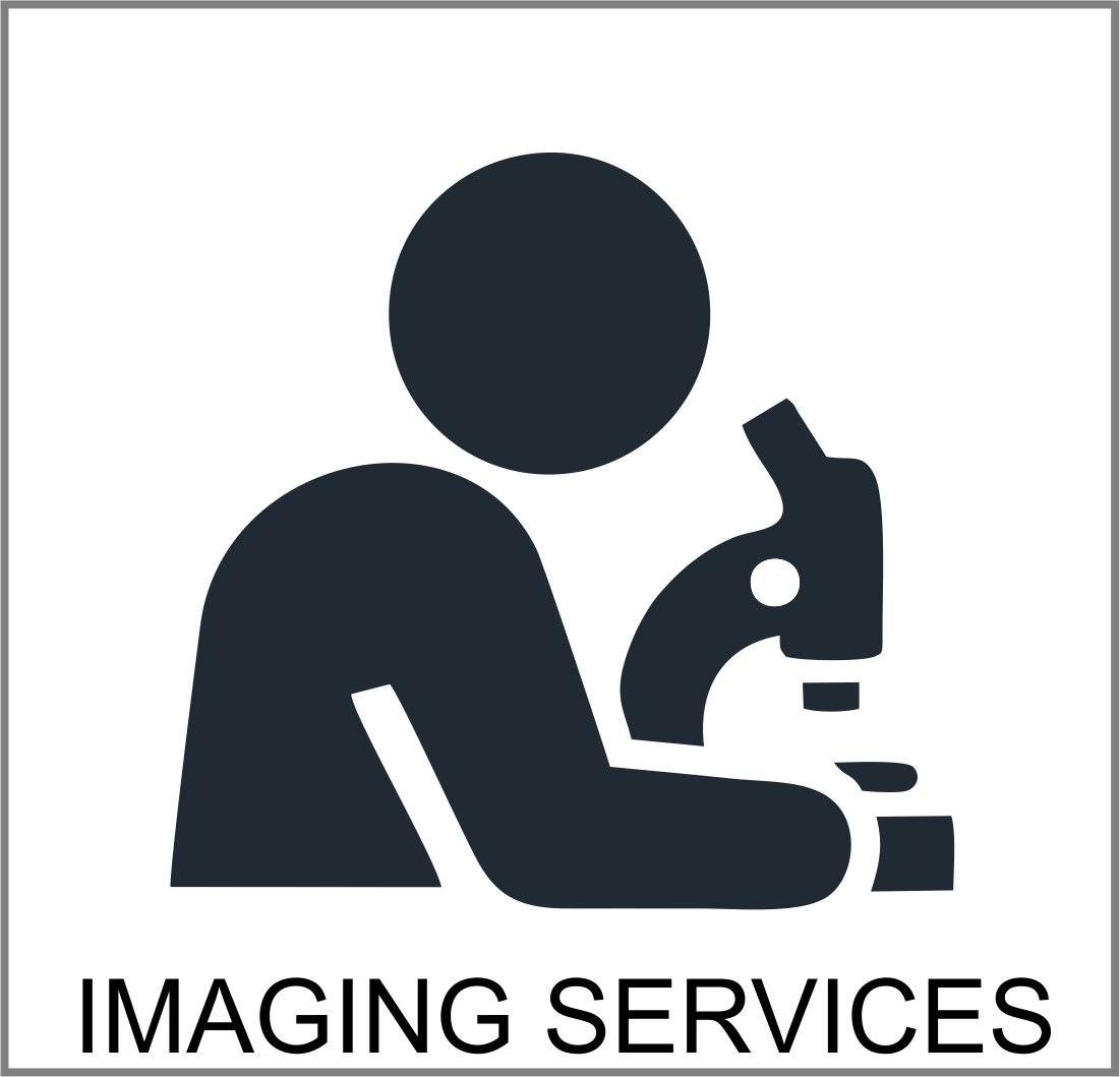 Imaging Services Button
