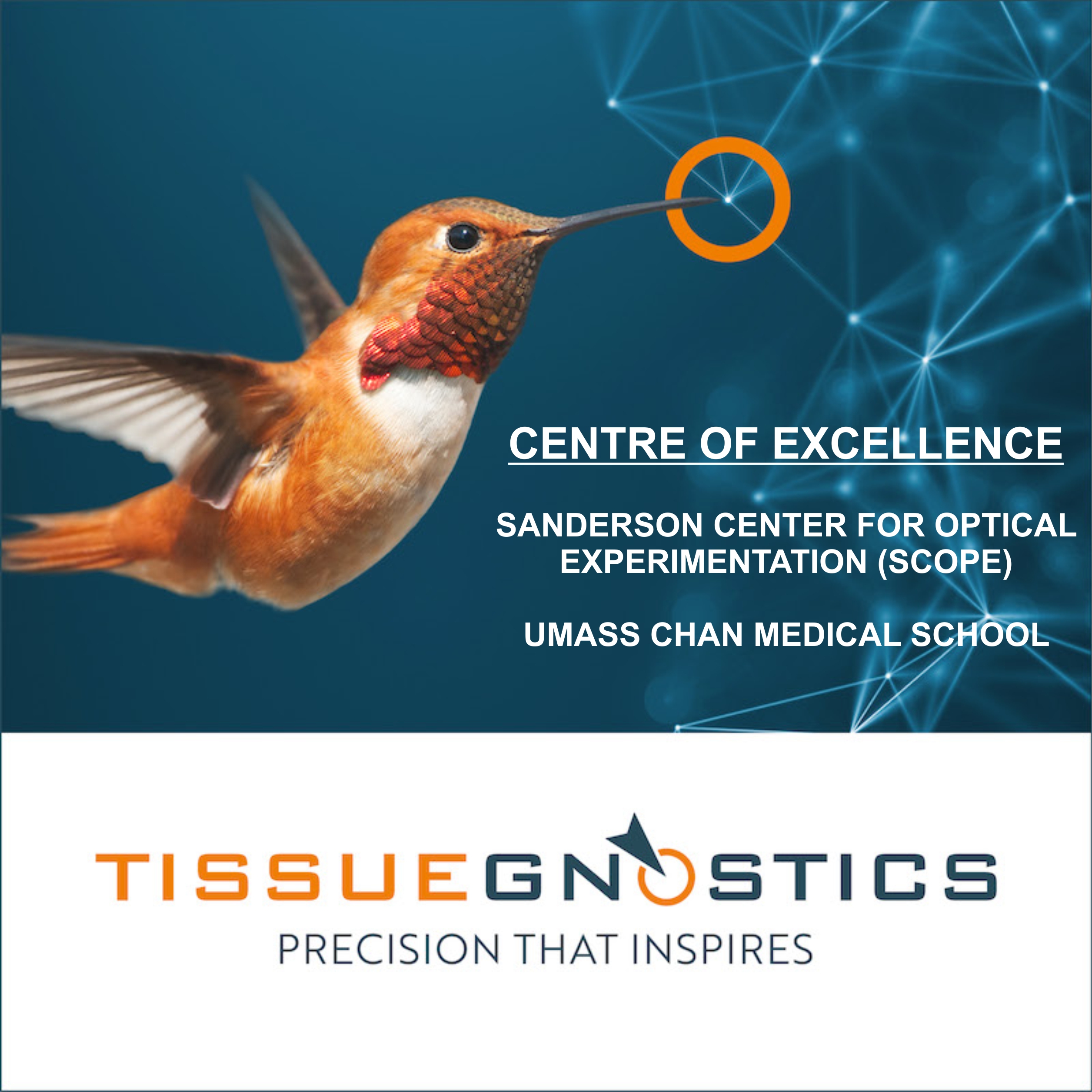 Tissue Gnostics Centre of Excellence 2025