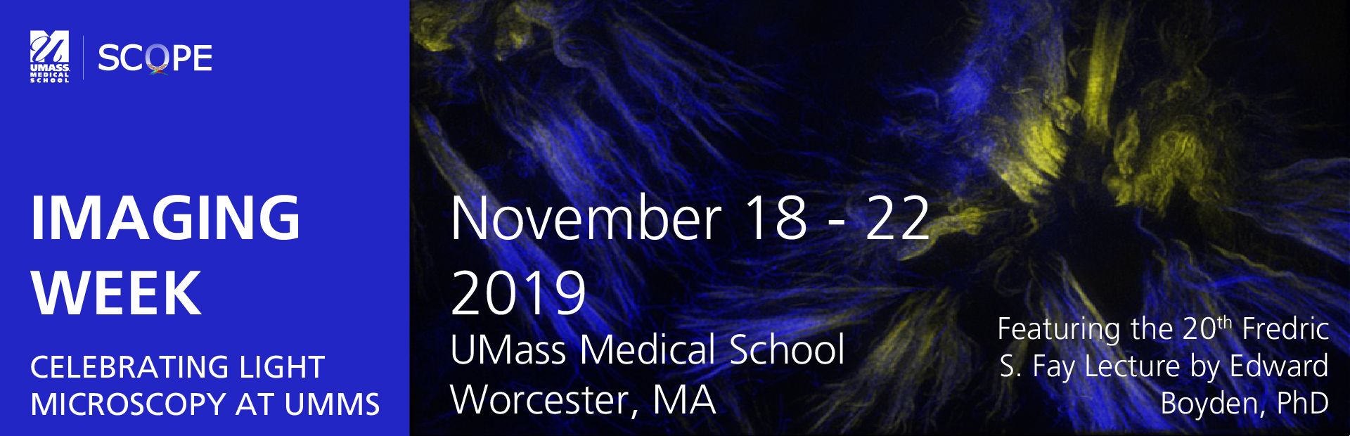 imaging-week-2019-slider.png