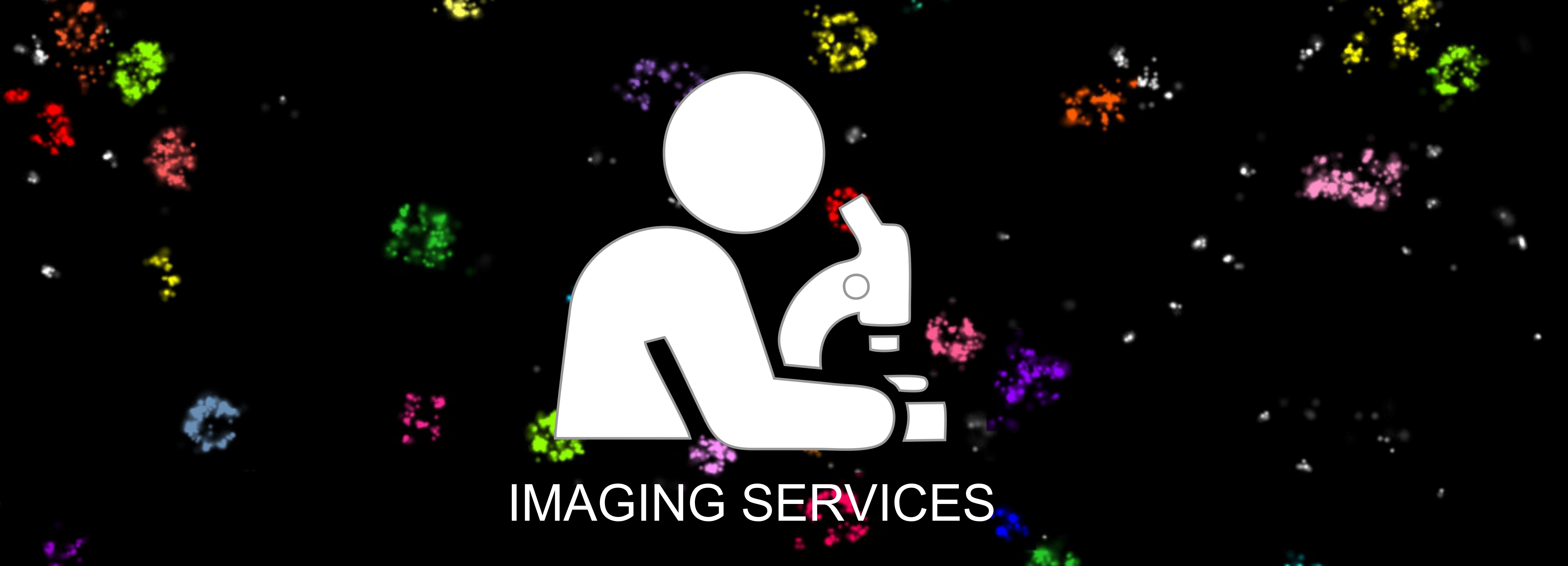 Imaging Services header