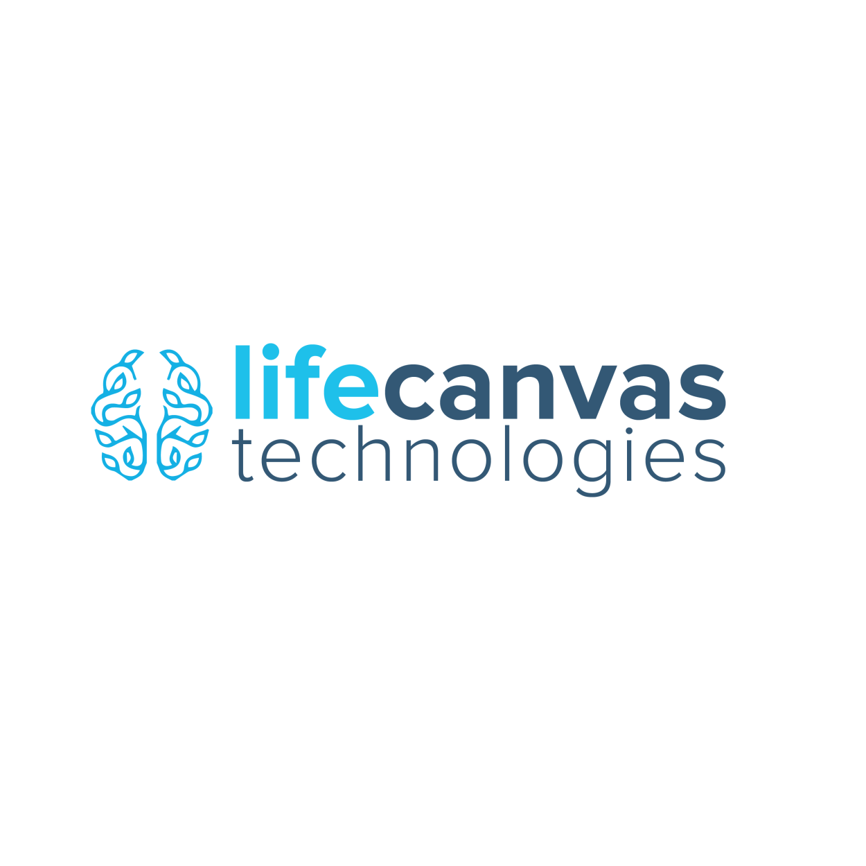 LifeCanvas logo for block.png