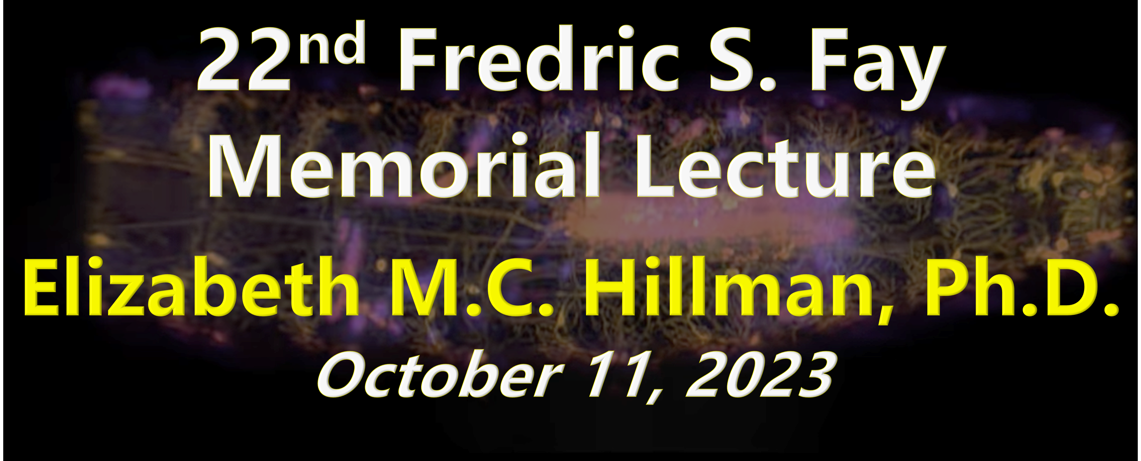 Elizabeth Hillman presents the Fred Fay Lecture 2023.