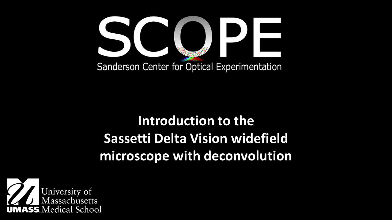 Introduction to  Sassetti DV microscope
