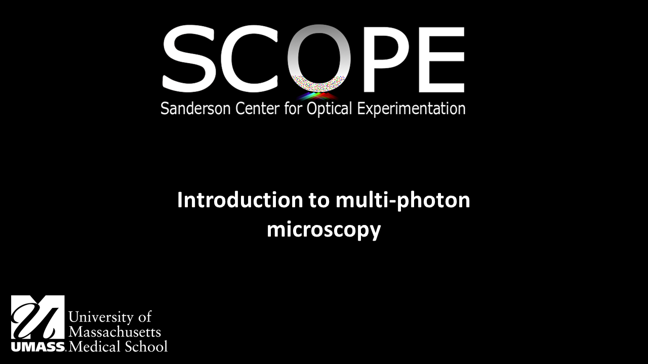 Introduction to multiphoton