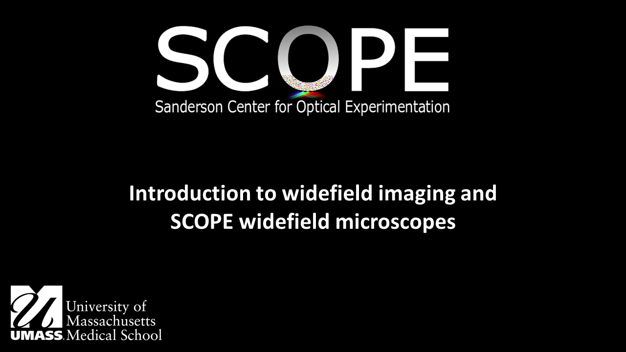 Introduction to widefield microscopy