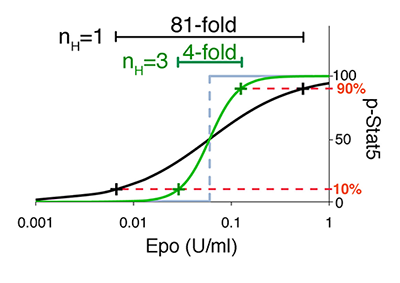 Stat5 signaling