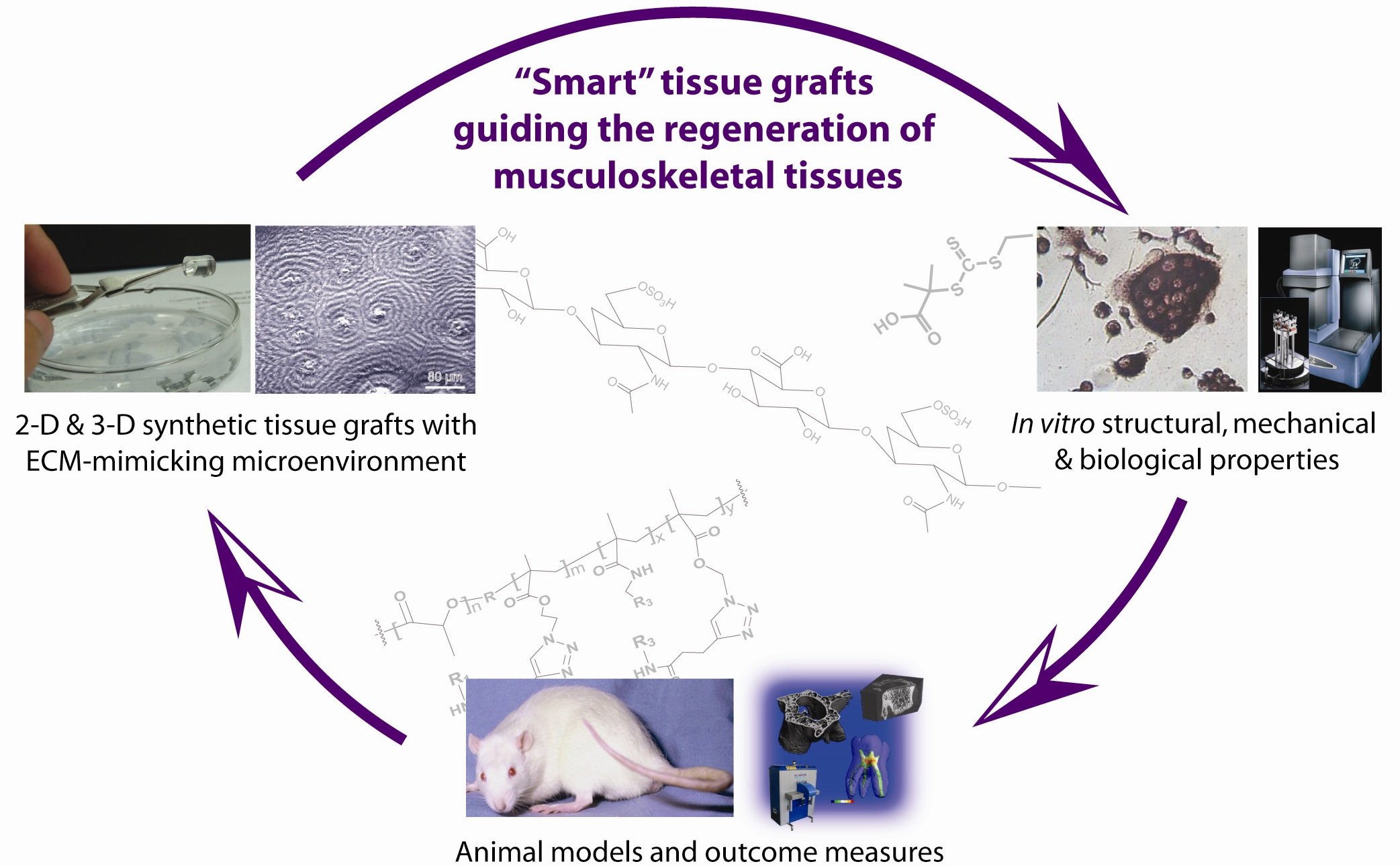 Synthetic tissue grafts and smart implants guiding the repair and regeneration of musculoskeletal tissues