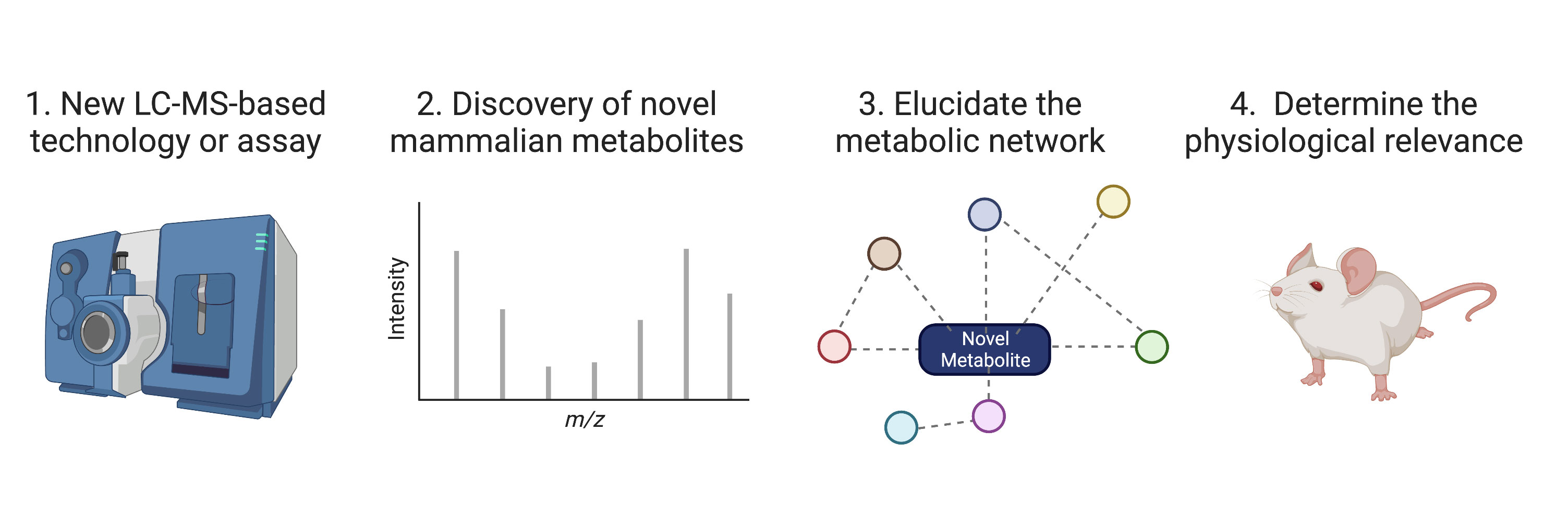  fundamental-metabolic-pathways.jpg