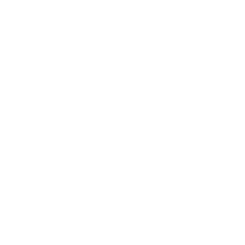 Bluesky logo butterfly