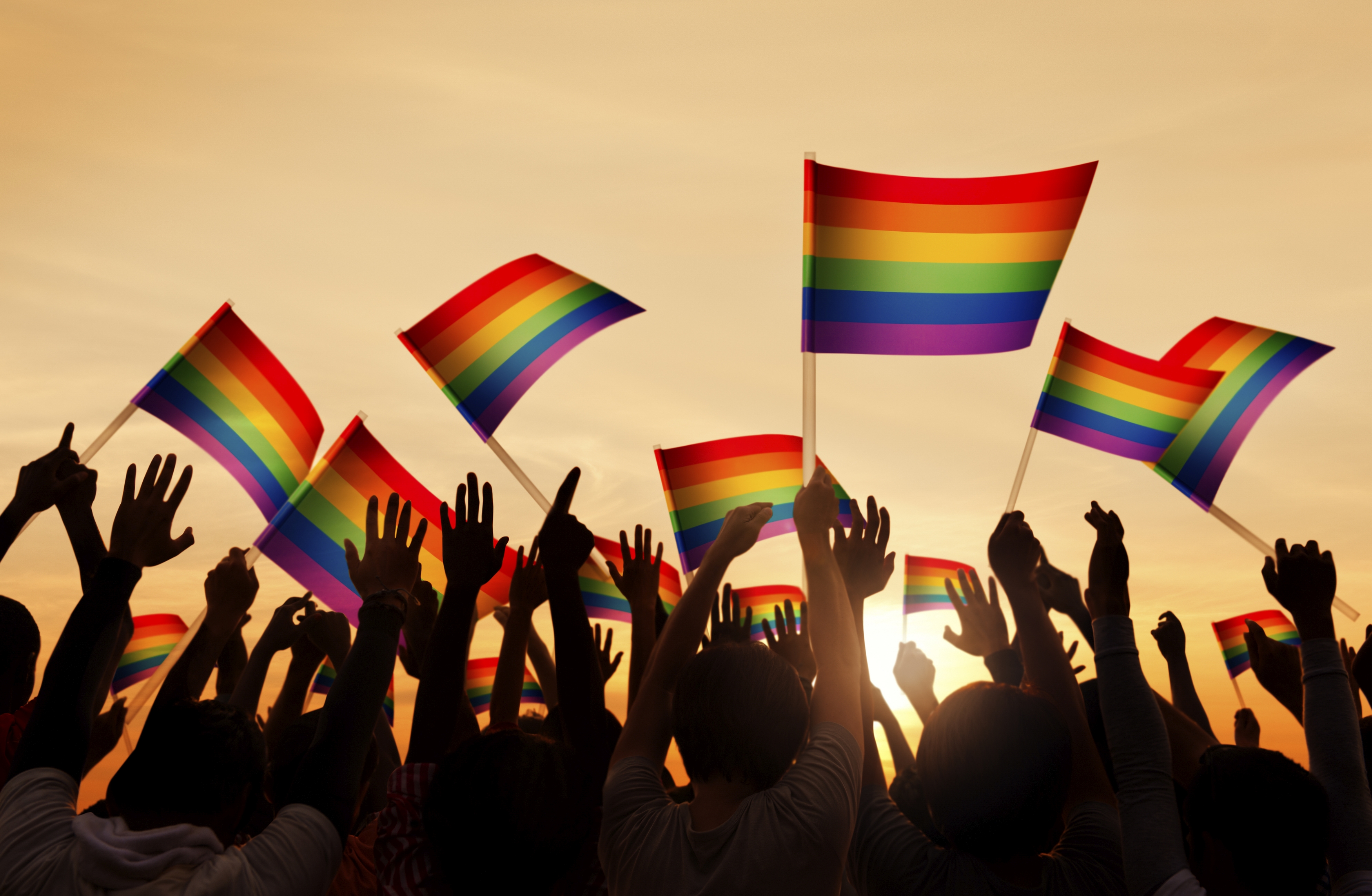 sunsetting over a group of undefined people holding pride flags