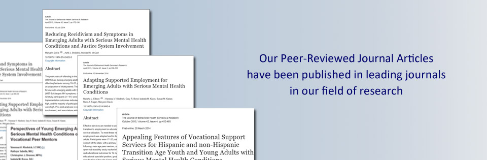 Peer reviewed journal articles image