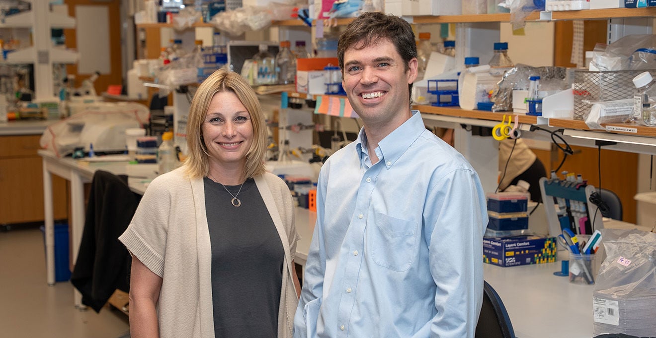 UMass Chan scientists show how non-neuronal brain cells communicate to coordinate rewiring of brain