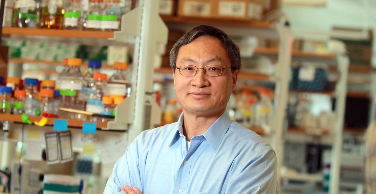 Fen-Biao Gao named fellow of the American Association for the Advancement of Science