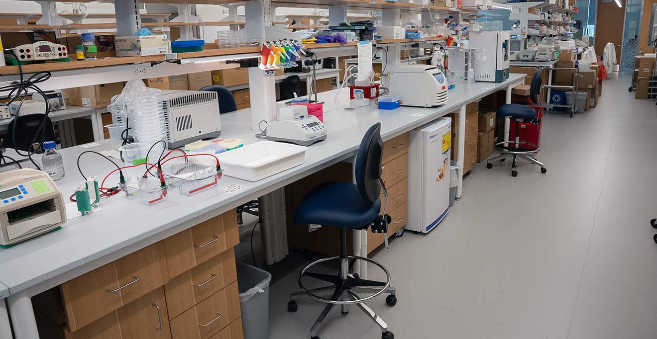 Chancellor Collins speaks out on threat to biomedical research