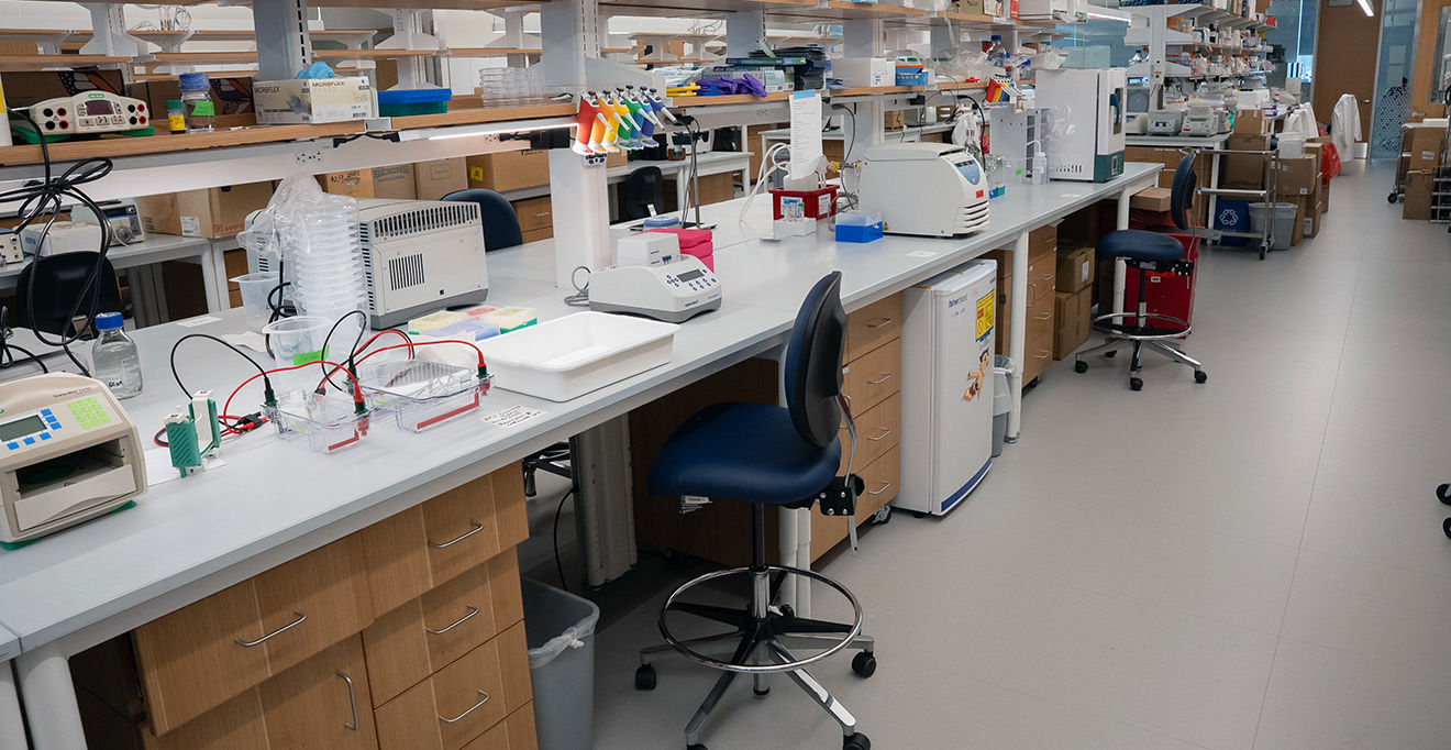 Chancellor Collins speaks out on threat to biomedical research