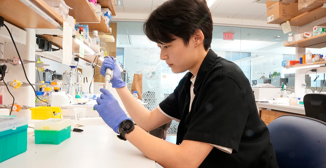 Erika Lu, a UMass Amherst biochemistry major, works in the lab of Jessica Spinelli, PhD, as part of the Summer Undergraduate Research Program