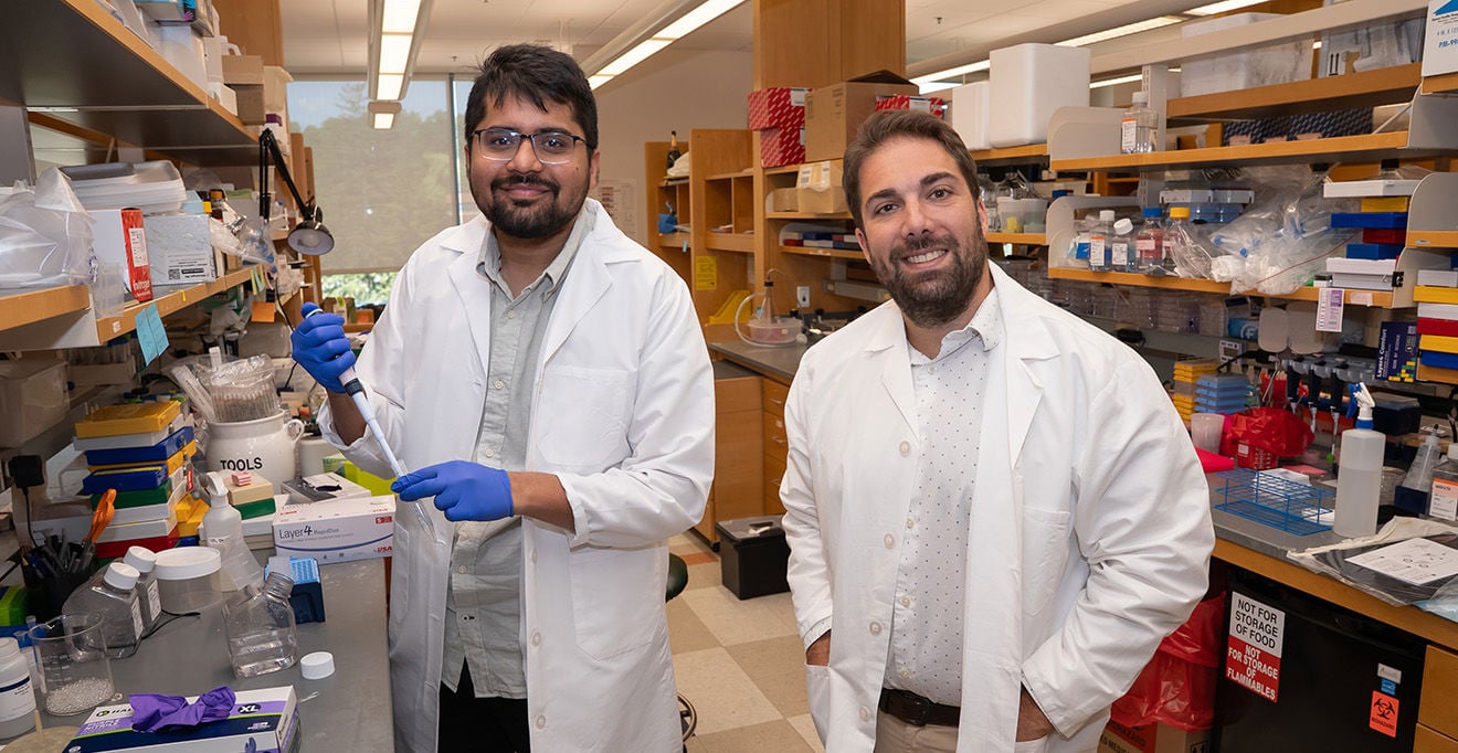 mRNA immunotherapy developed by UMass Chan scientists eliminates pancreatic tumors in mice