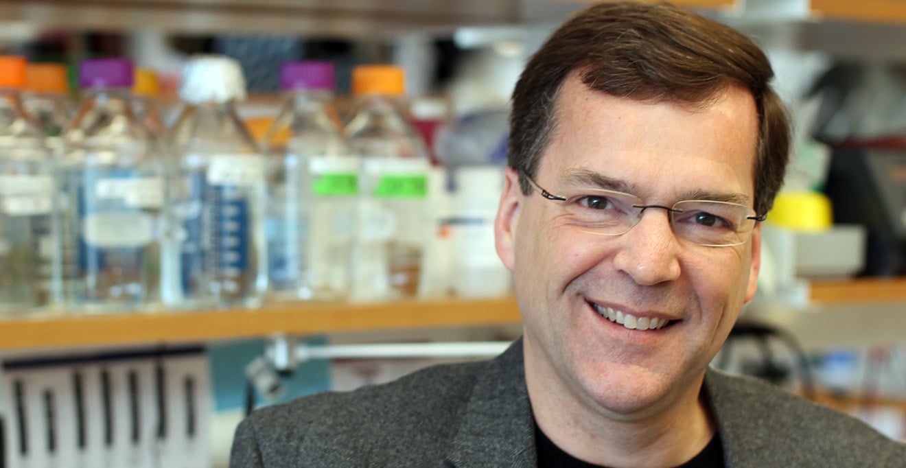 Erik Sontheimer named chair of RNA Therapeutics Institute at UMass Chan, effective January 2027