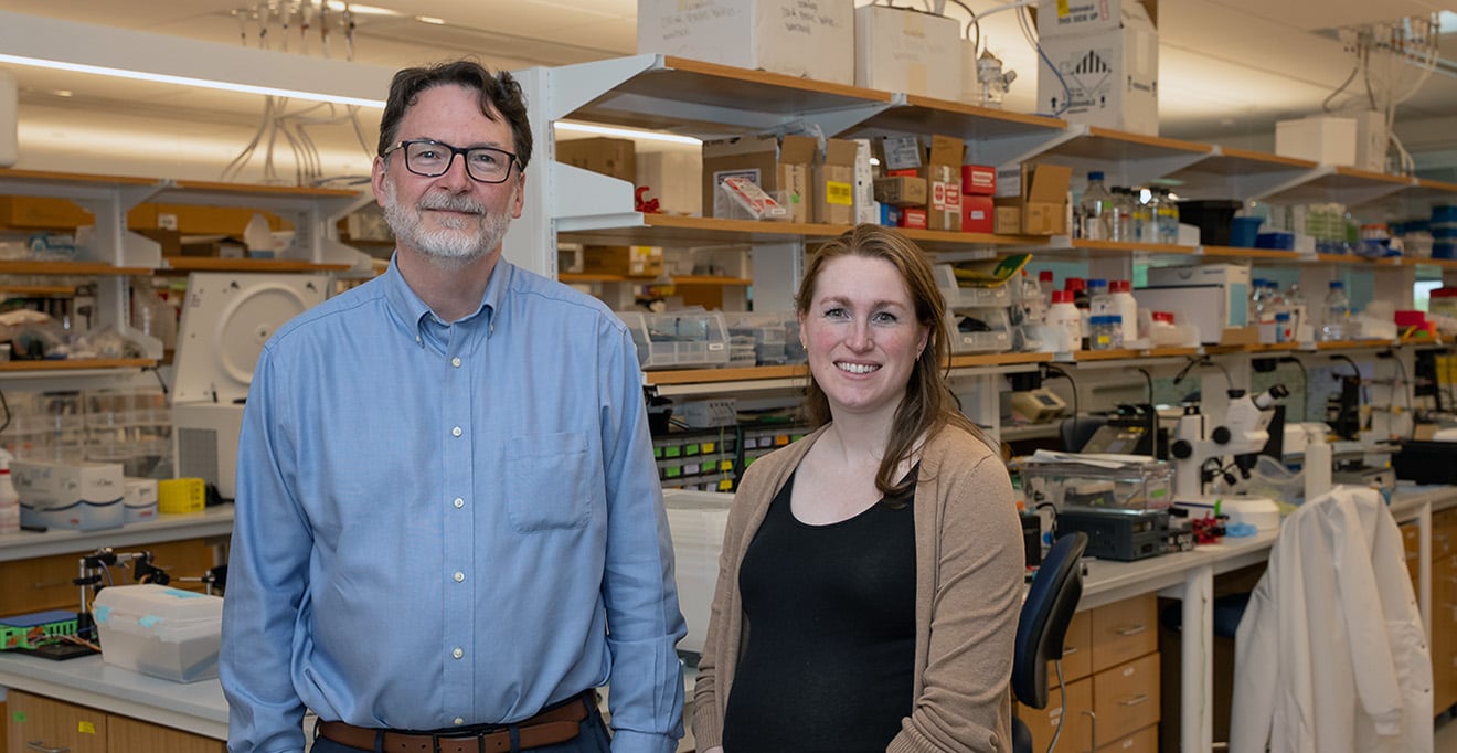 Quitting alcohol changes the brain and can increase the risk of compulsive drinking – new research in mice
