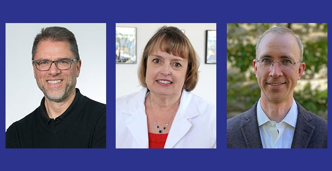 Eric Baehrecke, Jeanne Lawrence and Alan Mullen appointed to endowed chairs