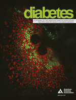 Researchers gain insights into cellular processes associated with diabetes
