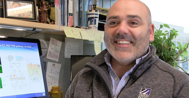 Expert’s Corner: Javier Irazoqui researches communication between the gut and the nervous system