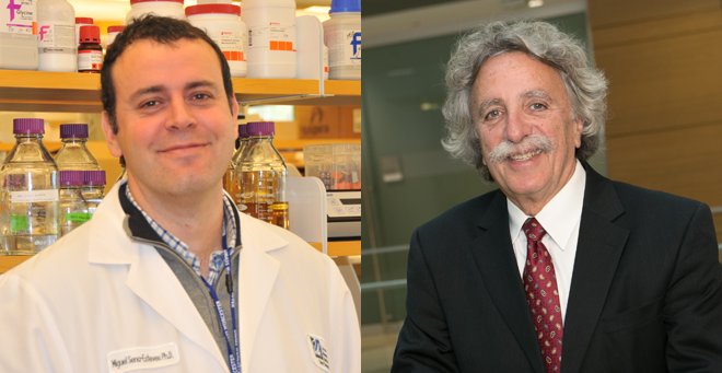 UMass Chan researchers receive funding from Gilbert Family Foundation to develop NF1 therapeutic