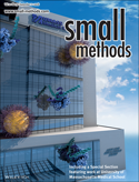 UMass Chan scientists featured in special edition of Small Methods journal