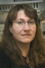 Sally C. Kent, PhD