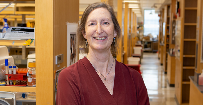Mary Munson named assistant vice provost of health equity at UMass Chan