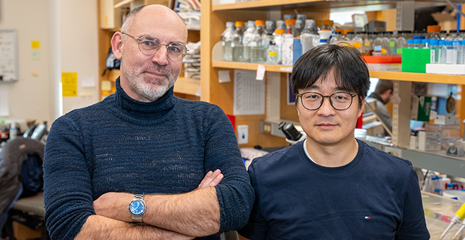 Mark Alkema, PhD, and Woo Kyu Kang, PhD, dissect an important molecular link between brain function and the gut microbiome.