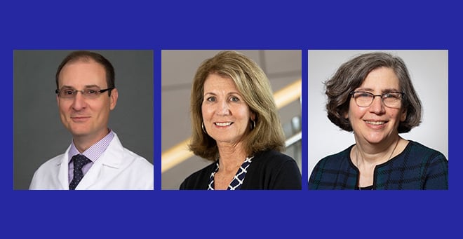Roberto Caricchio, Michelle Kelliher and Celia Schiffer appointed to endowed chairs