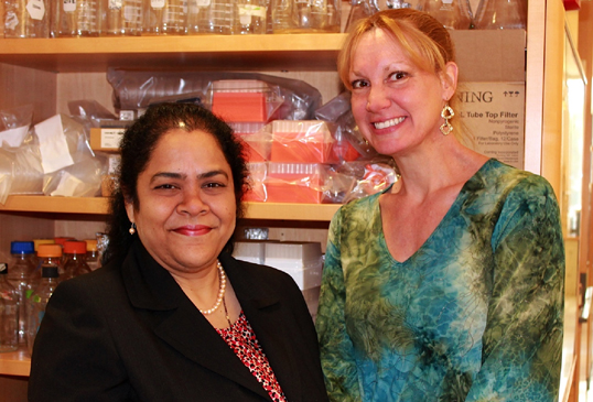 Alcohol research expert Pranoti Mandrekar, PhD (left), and cancer researcher and clinician JeanMarie Houghton, MD, PhD, have been awarded an exploratory and developmental grant from the National Institute of Alcohol Abuse and Alcoholism to establish a mechanistic link between alcohol consumption and human breast cancer.
