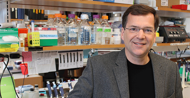 Erik Sontheimer co-leading efforts to develop gene editing toolkit by NIH Somatic Cell Genome Editing Consortium