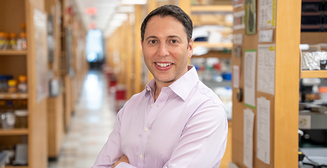 UMass Chan neurobiologist Eviatar Yemini recognized with Hypothesis Fund award